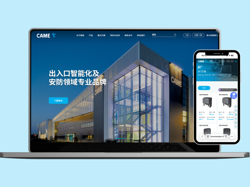 CAME Website Screenshot